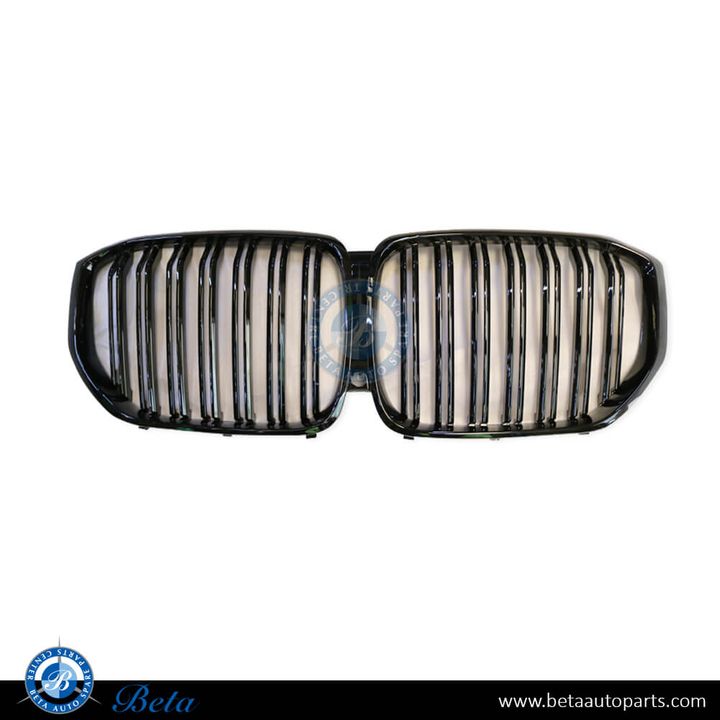 BMW X5 G05 (2019-2023), Radiator Grille M Look (2 Lines), China, 51137454887