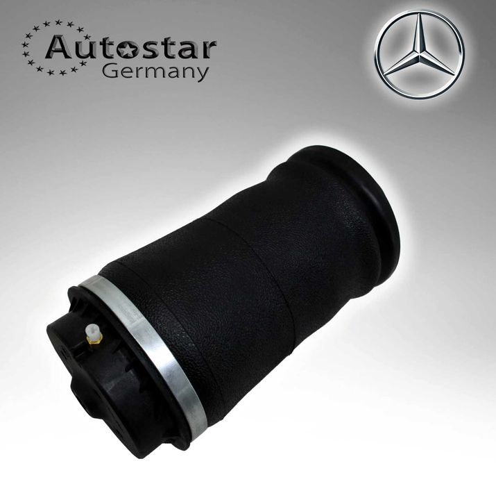 Mercedes Benz AIR SPRING 1663200625