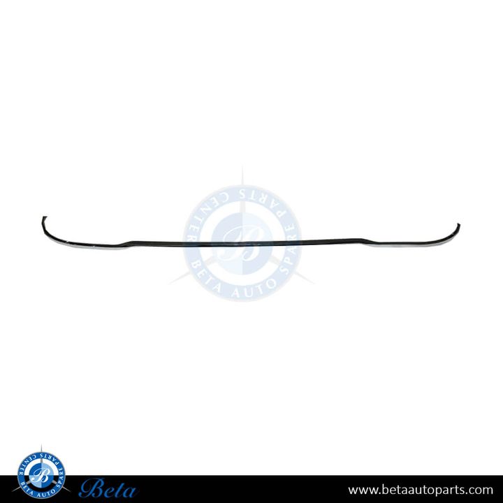 Mercedes C-Class W205 (2015-2018), Front Bumper Moulding Standard, China, 2058850323