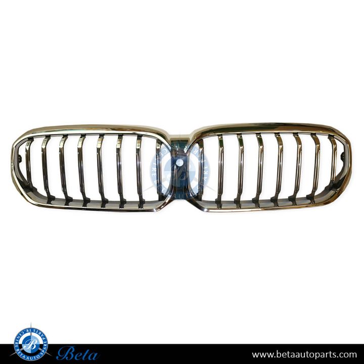 BMW 5 Series G30 LCI (2021-2023), Radiator Grille with Camera Hole (Luxury), China, 51139464219