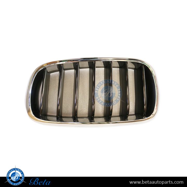 BMW X6 F16 (2015-2018), Radiator Grille - Black and Chrome (Left), China, 51137373689