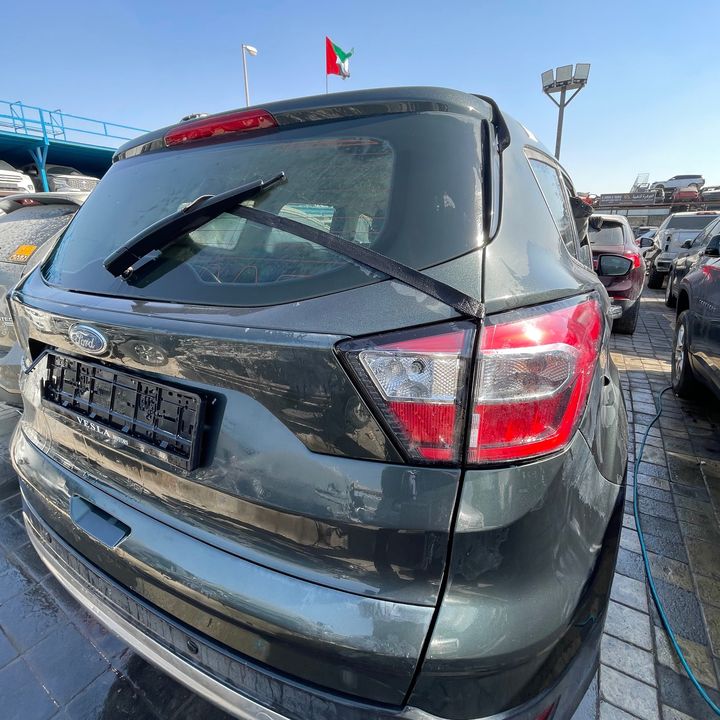 Trunk/hatch/tailgate - 2018 Ford Escape