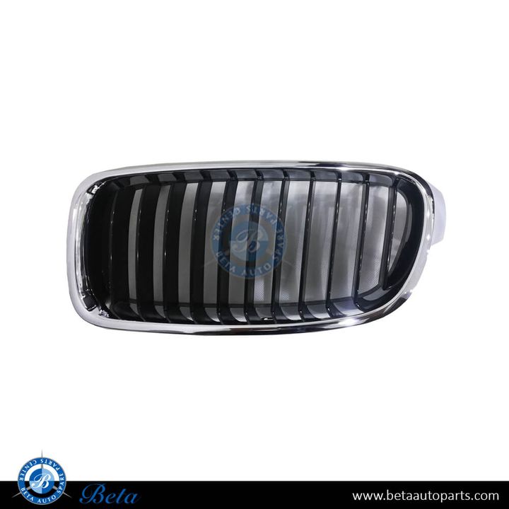 BMW 3 Series F30 (2012-2018), Radiator Grille - Sport Line (Left), China, 51137260497