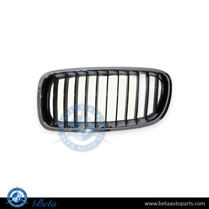 BMW 3 Series F30 (2012-2018), Radiator Grille (Left), China, 51137255411