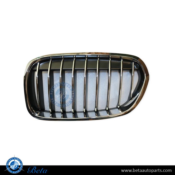 BMW 1 Series F20 / F21 LCI (2015-2019), Radiator Grille - Luxury Line (Right), China, 51137400798