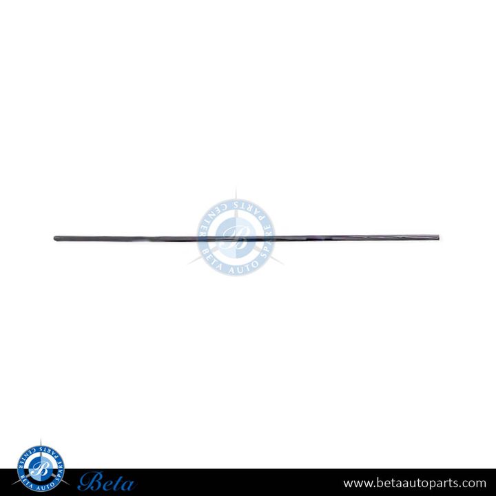 Mercedes S-Class W221 (2006-2013), Rear Door Moulding Long - Chrome (Right), China, 2216904680 / 2216902680
