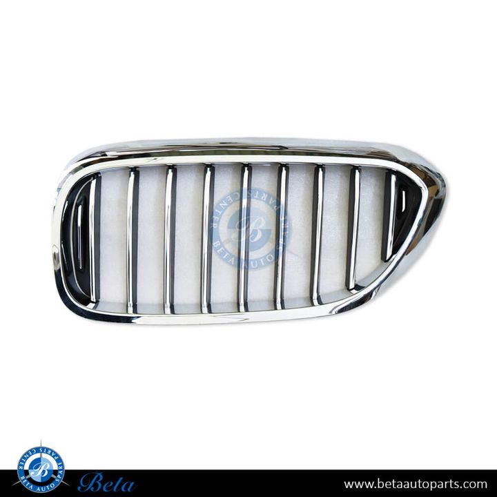 BMW 5 Series G30 (2017-2020), Radiator Grille - Luxury (Left), Taiwan, 51137390865