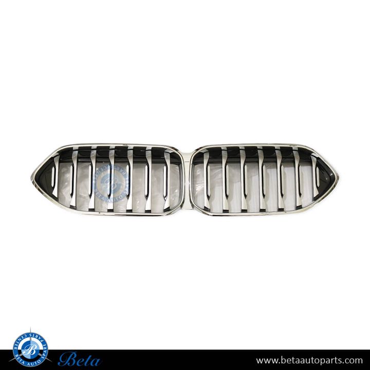 BMW 2 Series F44 (2020-2024), Radiator Grille M-Tek / Luxury (Chrome), China, 51135A39375