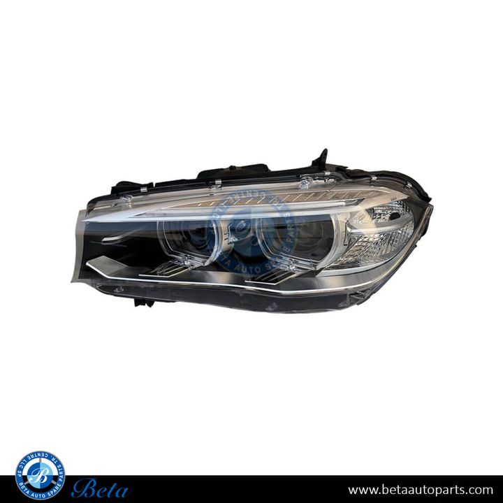 BMW X5 / X6 F15 / F16 (2014-2019), Headlamp Xenon with HID (Left), China, 63117317101