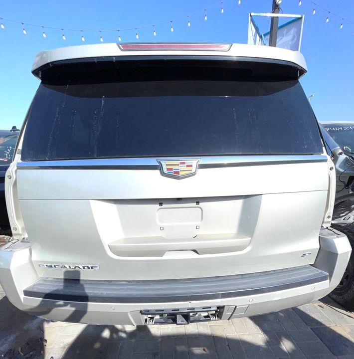 Trunk/hatch/tailgate - 2015 Cadillac Escalade ESV Platinum