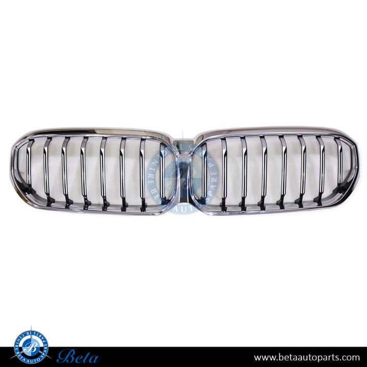 BMW 5 Series G30 LCI (2021-2023), Radiator Grille without Camera Hole, China, 51139464210