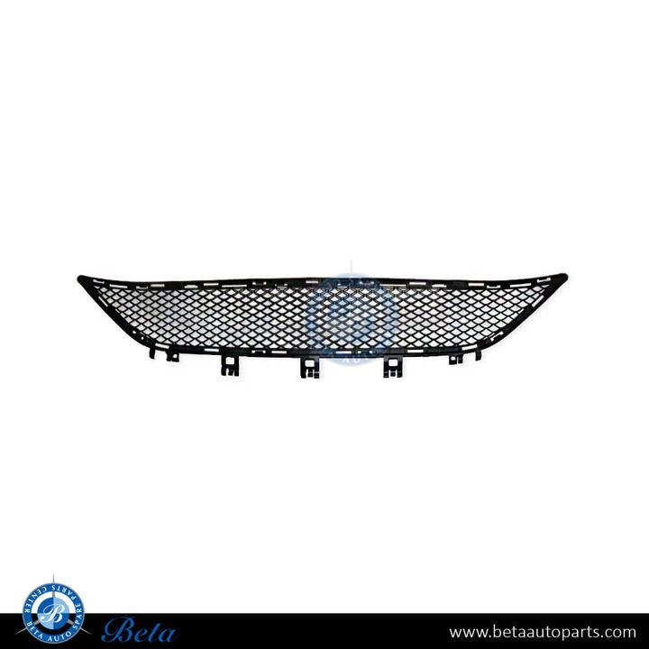 Mercedes E-Class W212 (2014-2016), Front Bumper Lower Grille Normal AMG (Center), China, 2128850124