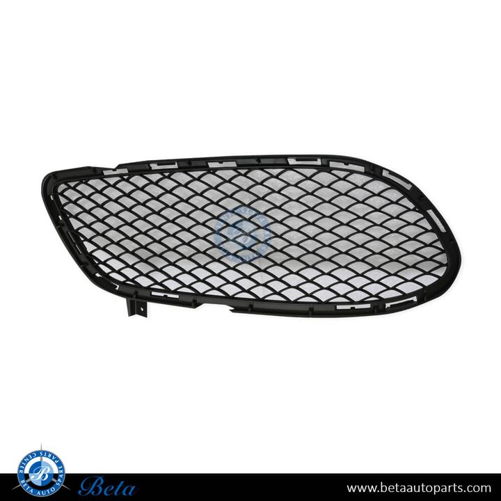 Mercedes CLS-Class W218 (2015-2018), Front Bumper Lower Grille Normal AMG (Left), China, 2188851923