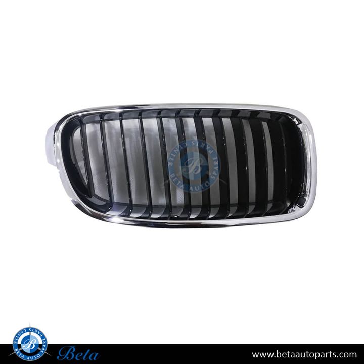 BMW 3 Series F30 (2012-2018), Radiator Grille - Sport Line (Right), China, 51137260498