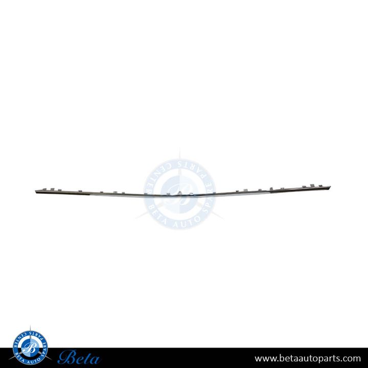 BMW 5 Series F10 LCI (2014-2016), Rear Bumper Moulding Luxury - Chrome (Center), Taiwan, 51127341672