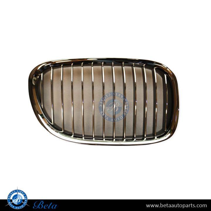BMW 7 Series F01 / F02 (2009-2012), Radiator Grille (Right), China, 51117184152