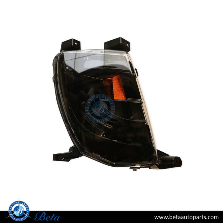Tesla Model S (2016-2021), Fog Lamp - USA Type Low (Right), China, 1024017-00-C / 6005916-00-E