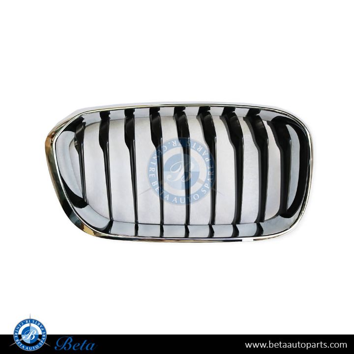 BMW 1 Series F20 / F21 LCI (2015-2019), Radiator Grille - Sport/M-Tek (Right), Taiwan, 51137371686