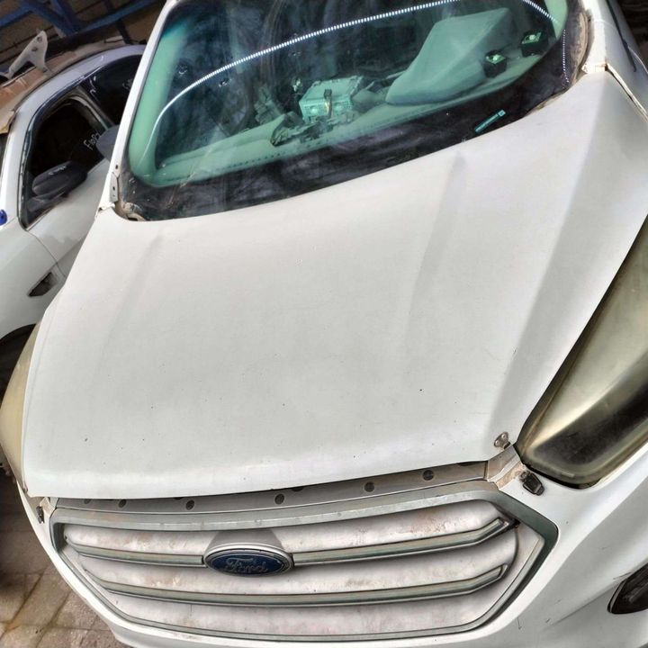 Hood/Bonnet - 2017 Ford Escape