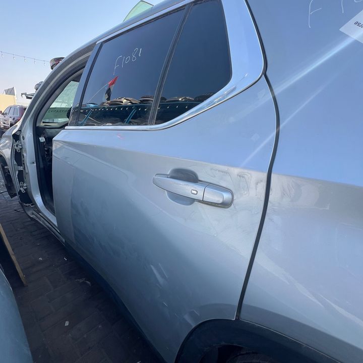 Door (LHB) - 2020 Chevrolet Traverse