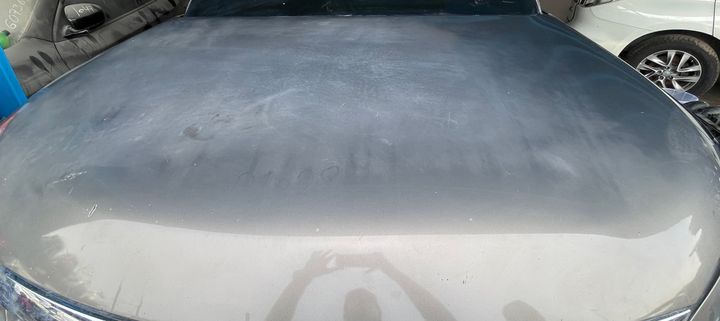Hood/Bonnet - 2013 Infiniti QX56