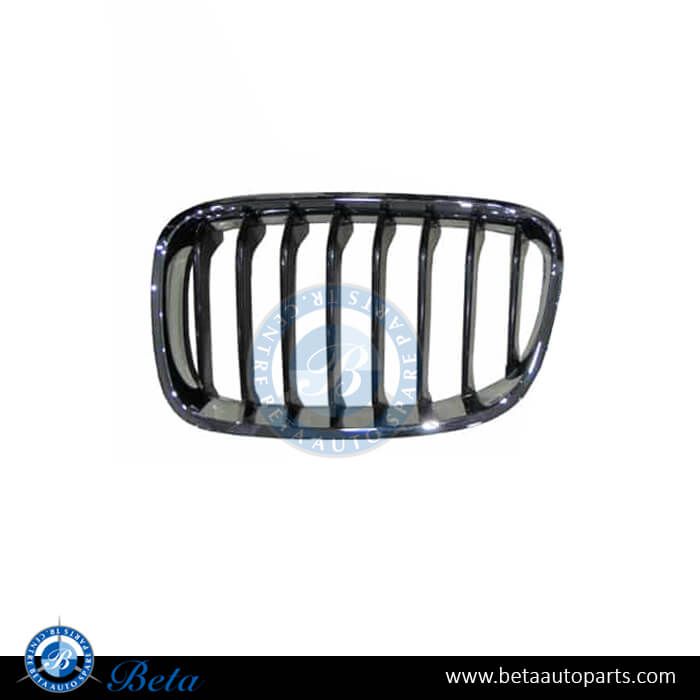 BMW 1 Series F20 / F21 (2012-2014), Radiator Grille for Sport Line - Black and Chrome (Left), Taiwan, 51137262117