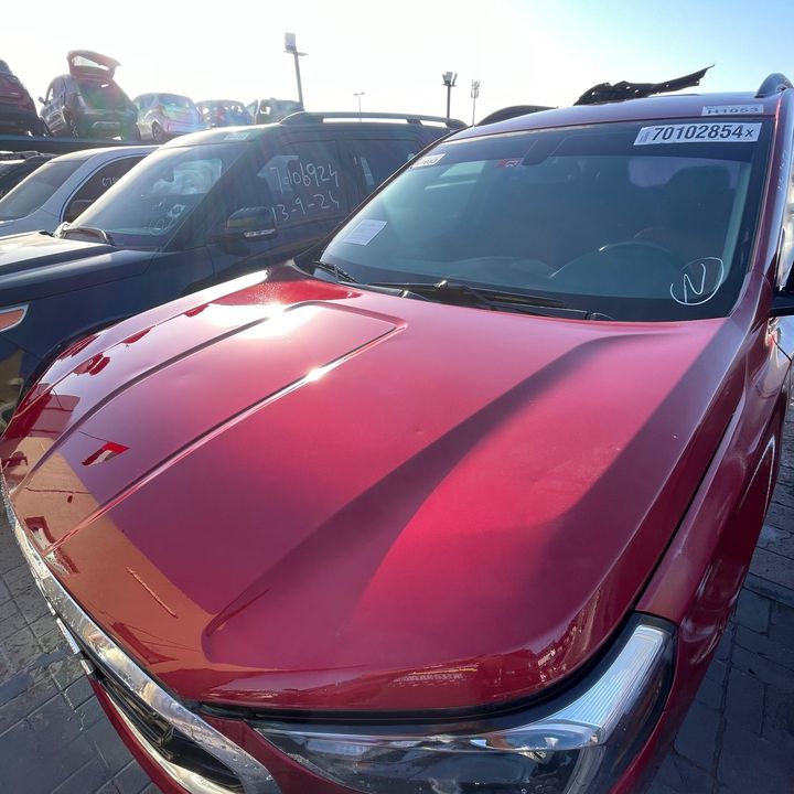 Hood/Bonnet - 2018 GMC Terrain Export Only