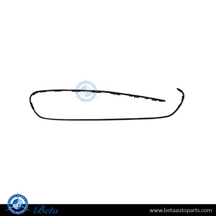 Mercedes E-Class W213 / C238 (2021-2023), Radiator Grille Frame Moulding Normal AMG without Camera Hole (Black), China, 2138858204