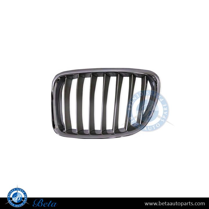 BMW X1 E84 (2009-2012), Radiator Grille - Chrome (Left), China, 51112993307