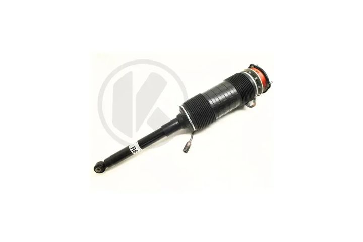 a2223206613 b   shock absorber
