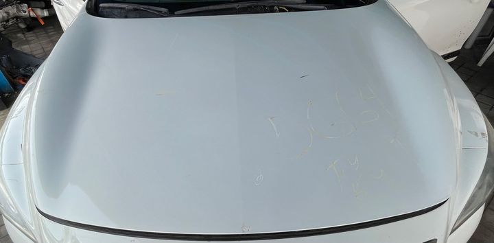 Hood/Bonnet - 2014 Infiniti QX60