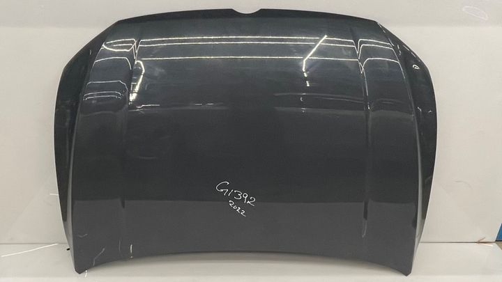 Hood / Bonnet - 2022 Volkswagen GTI