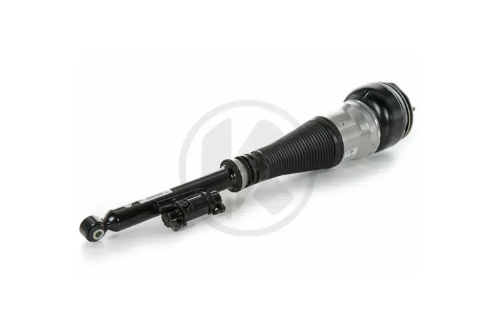 REAR SHOCK ABSORBER Repl. A2223207313