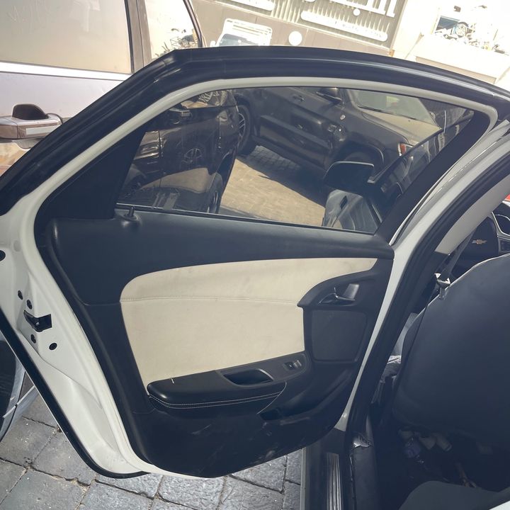 Door (LHB) - 2014 Chevrolet Caprice