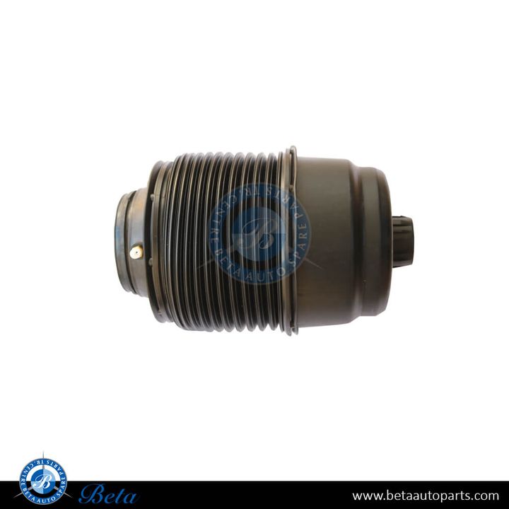 Mercedes GLE-Class / GLS-Class W167 / X167 (2019-Up), Rear Air Spring, China, 1673200025