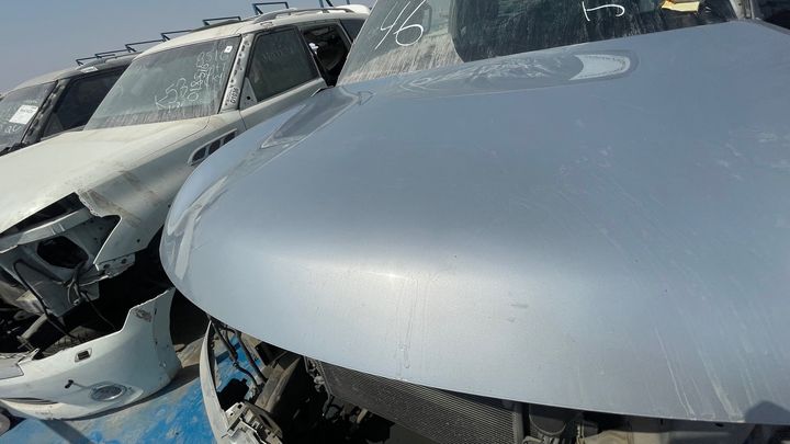Hood/Bonnet - 2014 Infiniti QX56