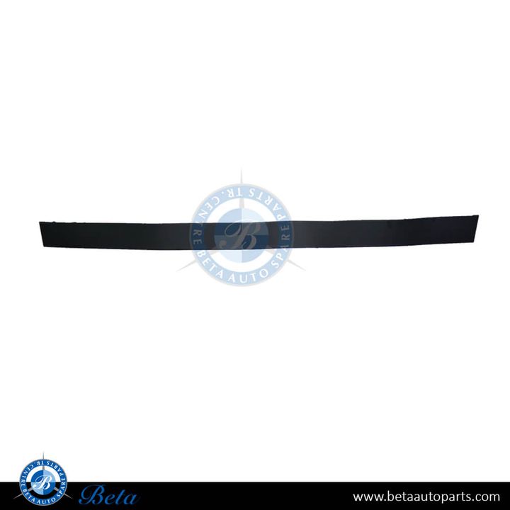 Tesla Model X (2015-2021), Front Door Moulding (Left), China, 1035201-00-D