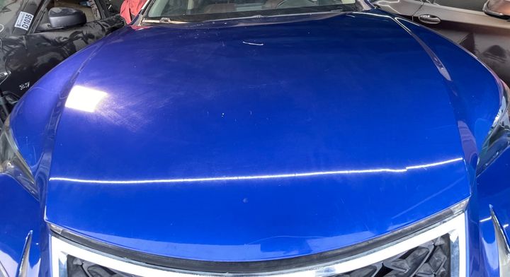 Hood/Bonnet - 2022 Lexus NX300