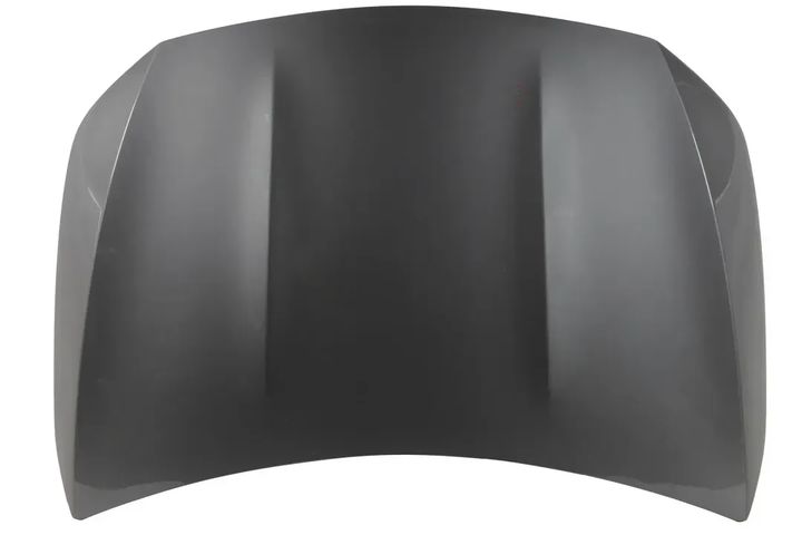 W118 HOOD