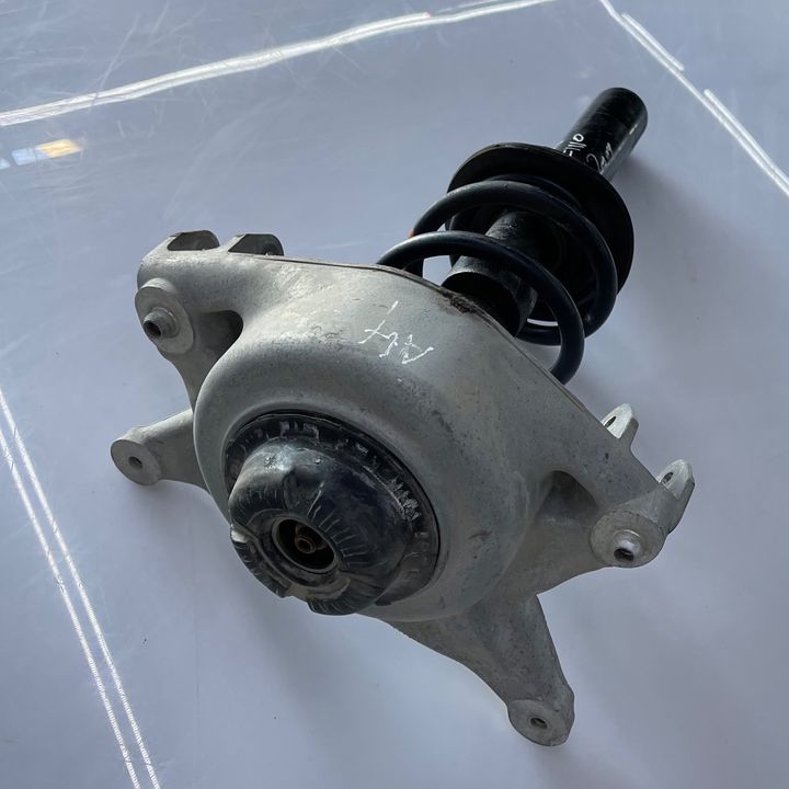 Shock Absober (LHB) - 2009 Audi A4