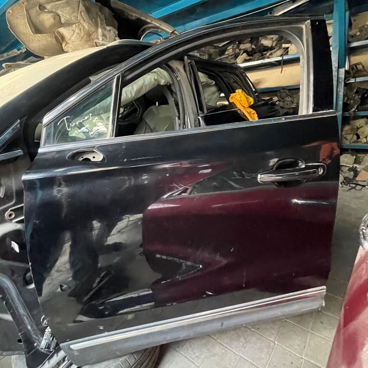 Door (LHF) - 2016 Lincoln MKC