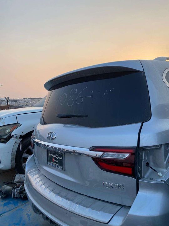 Trunk/hatch/tailgate - 2019 Infiniti QX80 Crossover