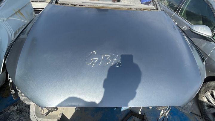 Hood/Bonnet - 2017 Audi Q3