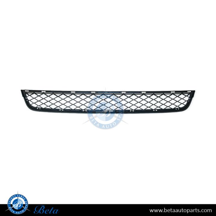 BMW X3 F25 (2011-2014), Front Bumper Lower Grille - Open (Center), Taiwan, 51117210462