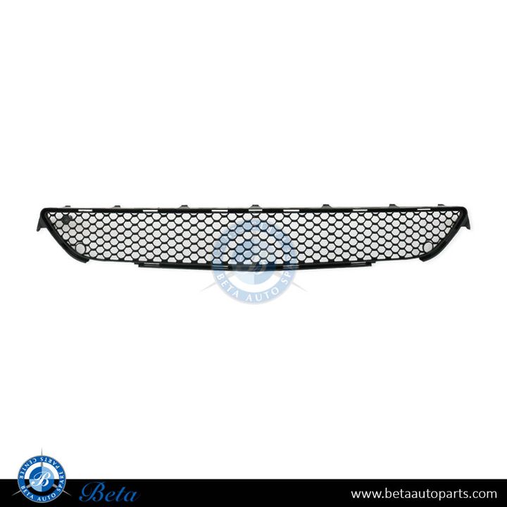 Mercedes S-Class W221 (2010-2013), Front Bumper Lower Grille Normal AMG (Center), Taiwan, 2218850453