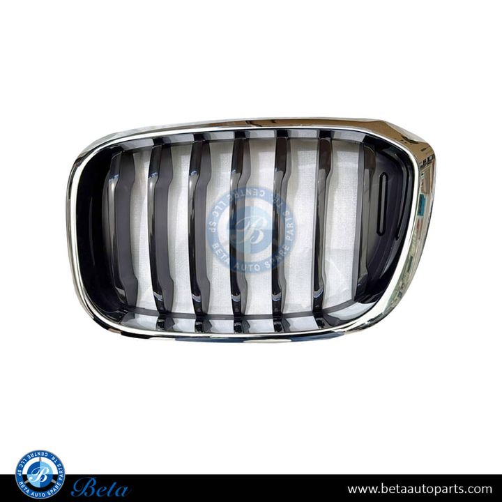 BMW X3 / X4 G01 / G02 (2018-2021), Radiator Grille (Left), China, 51137397465 / 51137440853