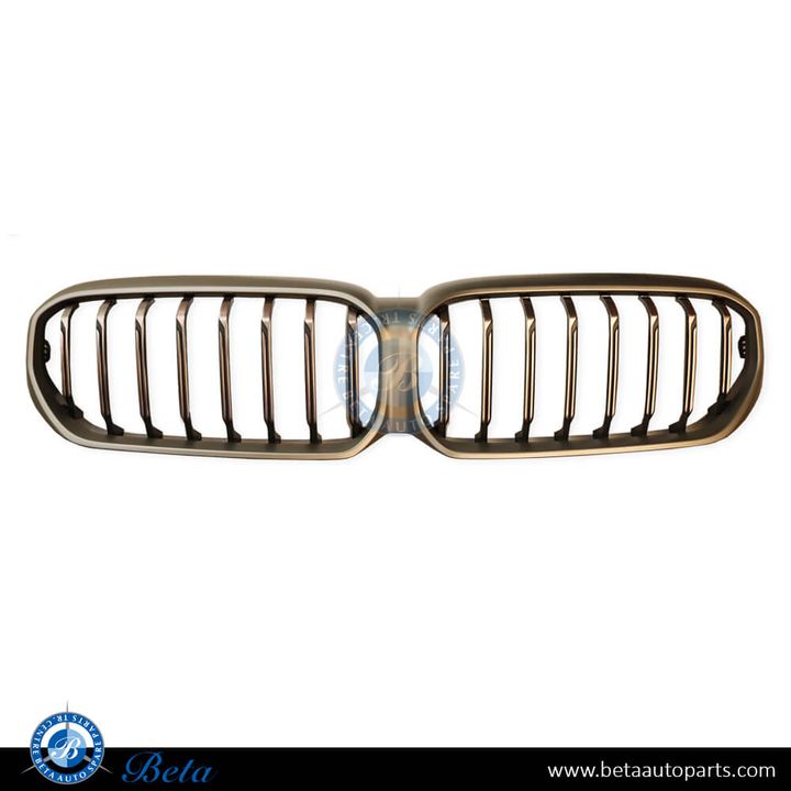 BMW 5 Series G30 LCI (2021-2023), Radiator Grille M-Tek without Camera Hole (Silver), China, 51129852283