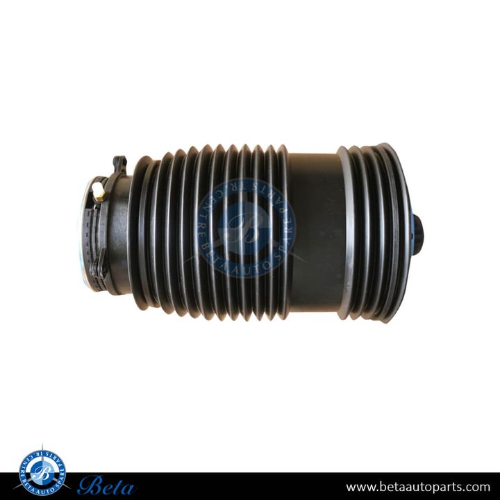 Mercedes C-Class / E-Class / EQC-Class W205 / W213 / N293 (2017-Up), Rear Air Spring (Left), China, 2053200125