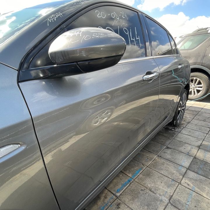 Door (LHF) - 2017 Dodge Neon