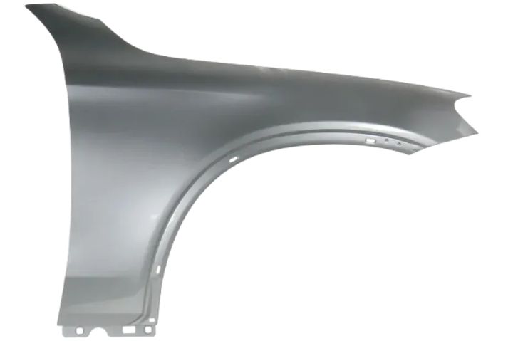FENDER RS